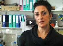 Joining efforts to find the HIV vaccine