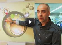 New paths against drug resistance