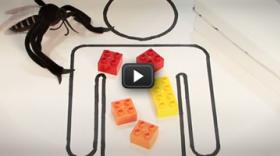 Un refugi contra la malària