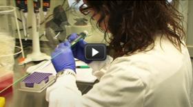 Reading the book of our DNA