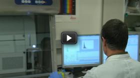 Identificando las células responsables de la metástasis