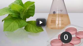 Use organisms to grow a drug against anaemia! Use organisms to grow a drug against anaemia!