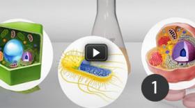 Check that you have the correct DNA sample for your research! Check that you have the correct DNA sample for your research!