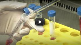 Can you cure with cells? Can you cure with cells?