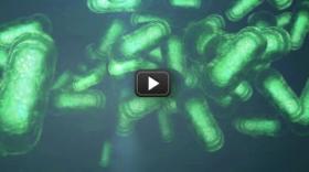 Produce a drug target! Produce a drug target!