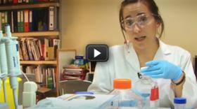 Plantar cara a una malària subestimada