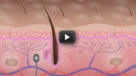 Engineer skin! Engineer skin!