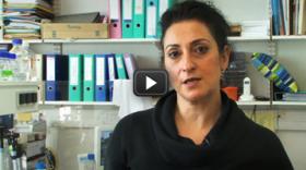 Aunemos esfuerzos para encontrar una vacuna para el VIH