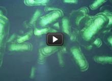 Produce a drug target!