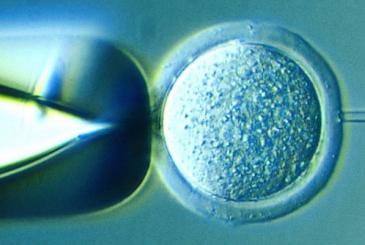 The biotechnology revolution