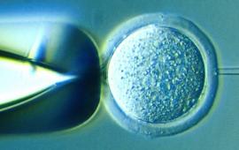 La revolució biotecnològica